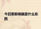 今日更新樟腦是什么東西