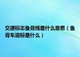 交通標志魚骨線是什么意思（魚骨車道標是什么）