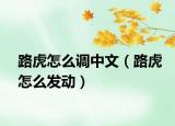路虎怎么調(diào)中文（路虎怎么發(fā)動(dòng)）