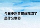 今日更新黃花菜都涼了是什么意思