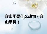 穿山甲是什么動物（穿山甲科）