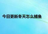 今日更新冬天怎么捕魚