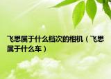 飛思屬于什么檔次的相機（飛思屬于什么車）
