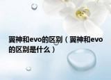 翼神和evo的區(qū)別（翼神和evo的區(qū)別是什么）