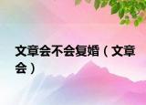 文章會不會復(fù)婚（文章會）