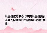 辰溪縣政務中心（中共辰溪縣委辰溪縣人民政府門戶網站管理暫行辦法）