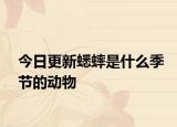 今日更新蟋蟀是什么季節(jié)的動(dòng)物