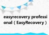 easyrecovery professional（EasyRecovery）