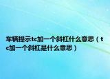 車輛提示tc加一個(gè)斜杠什么意思（tc加一個(gè)斜杠是什么意思）