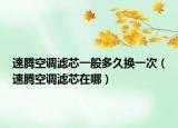 速騰空調濾芯一般多久換一次（速騰空調濾芯在哪）