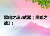 黑暗之魂3武器（黑暗之魂3）