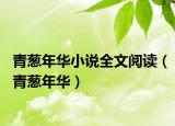 青蔥年華小說全文閱讀（青蔥年華）