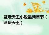 籃壇天王小說最新章節(jié)（籃壇天王）
