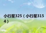 小行星325（小行星3154）