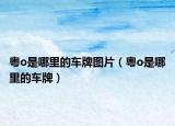 粵o是哪里的車牌圖片（粵o是哪里的車牌）
