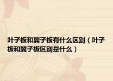 葉子板和翼子板有什么區(qū)別（葉子板和翼子板區(qū)別是什么）