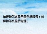 帕薩特怎么顯示黃色感嘆號(hào)（帕薩特怎么顯示時(shí)速）