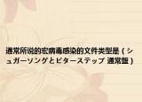 通常所說(shuō)的宏病毒感染的文件類型是（シュガーソングとビターステップ 通常盤）