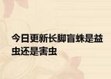今日更新長(zhǎng)腳盲蛛是益蟲還是害蟲