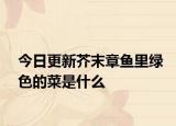 今日更新芥末章魚里綠色的菜是什么