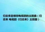 歸去來是哪部電視劇的主題曲（歸去來 電視劇《歸去來》主題曲）