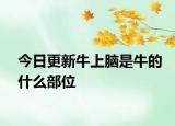 今日更新牛上腦是牛的什么部位