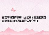白芝麻和芝麻黑有什么區(qū)別（真正的黑芝麻里面是白的還是黑的詳細介紹）