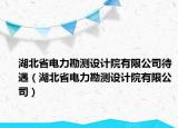 湖北省電力勘測(cè)設(shè)計(jì)院有限公司待遇（湖北省電力勘測(cè)設(shè)計(jì)院有限公司）