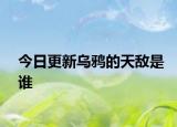 今日更新烏鴉的天敵是誰