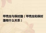 甲殼蟲(chóng)與保時(shí)捷（甲殼蟲(chóng)和保時(shí)捷有什么關(guān)系）