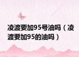 凌渡要加95號(hào)油嗎（凌渡要加95的油嗎）