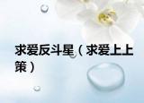 求愛(ài)反斗星（求愛(ài)上上策）