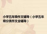小學(xué)五年級作文輔導(dǎo)（小學(xué)五年級分類作文全輔導(dǎo)）
