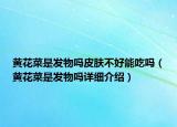 黃花菜是發(fā)物嗎皮膚不好能吃嗎（黃花菜是發(fā)物嗎詳細介紹）