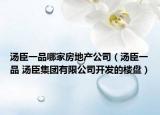湯臣一品哪家房地產(chǎn)公司（湯臣一品 湯臣集團有限公司開發(fā)的樓盤）