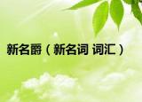 新名爵（新名詞 詞匯）