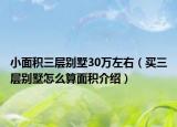 小面積三層別墅30萬(wàn)左右（買(mǎi)三層別墅怎么算面積介紹）