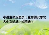 小說生命沉思錄（生命的沉思北大中文論壇小說精選）