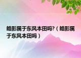 皓影屬于東風本田嗎?（皓影屬于東風本田嗎）