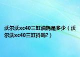 沃爾沃xc40三缸油耗是多少（沃爾沃xc40三缸抖嗎?）