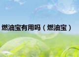 燃油寶有用嗎（燃油寶）