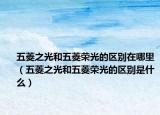 五菱之光和五菱榮光的區(qū)別在哪里（五菱之光和五菱榮光的區(qū)別是什么）
