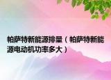 帕薩特新能源排量（帕薩特新能源電動機功率多大）