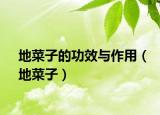 地菜子的功效與作用（地菜子）