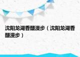 沈陽龍湖香醍漫步（沈陽龍湖香醍漫步）