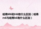 哈弗M6和H6有什么區(qū)別（哈弗m6與哈弗h6有什么區(qū)別）