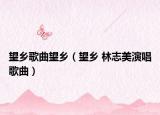 望鄉(xiāng)歌曲望鄉(xiāng)（望鄉(xiāng) 林志美演唱歌曲）