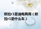 歐拉r1是油電兩用（歐拉r1是什么車）