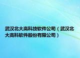武漢北大高科技軟件公司（武漢北大高科軟件股份有限公司）