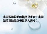 豐田致炫輪胎的規(guī)格是多大（豐田致炫雪地胎型號(hào)是多大尺寸）